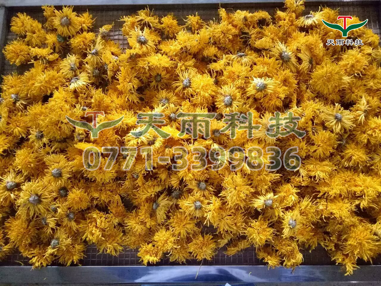 mmexport1483420757164.jpg