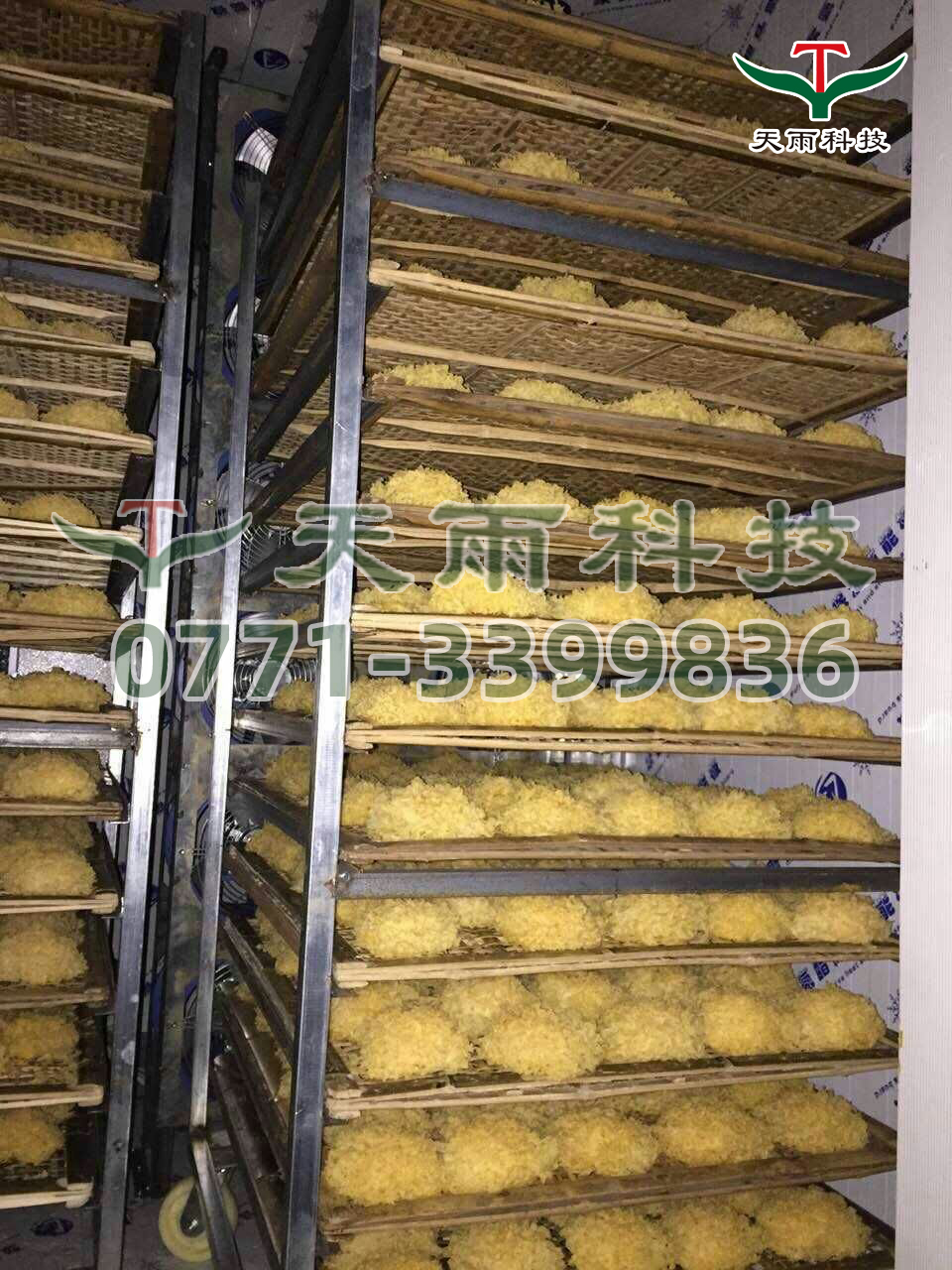 mmexport1482805163467.jpg