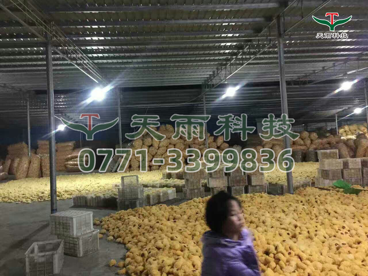 mmexport1482805169220.jpg