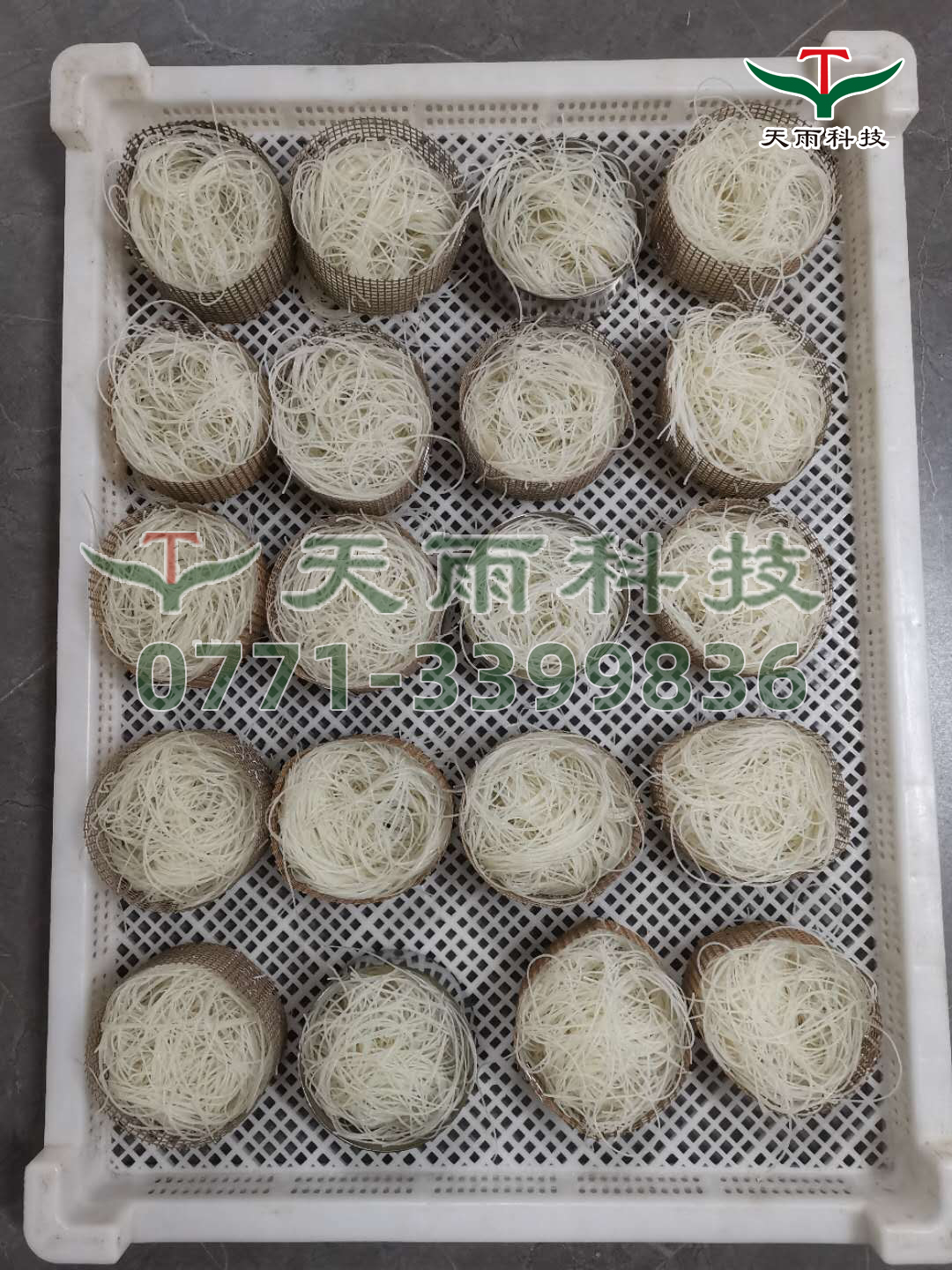 微信圖片_20200624122406.jpg