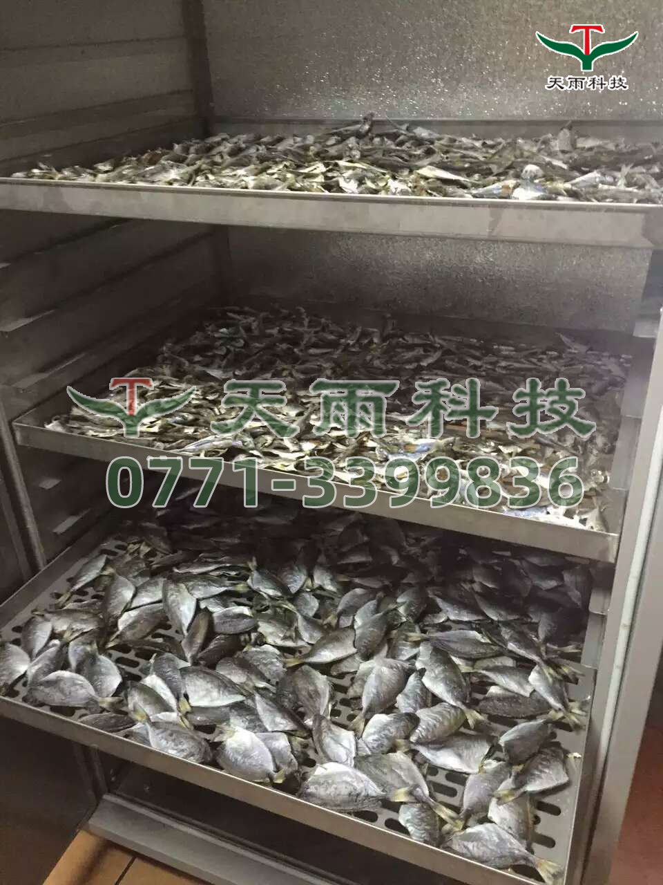 5f9c401fd5da2.jpg